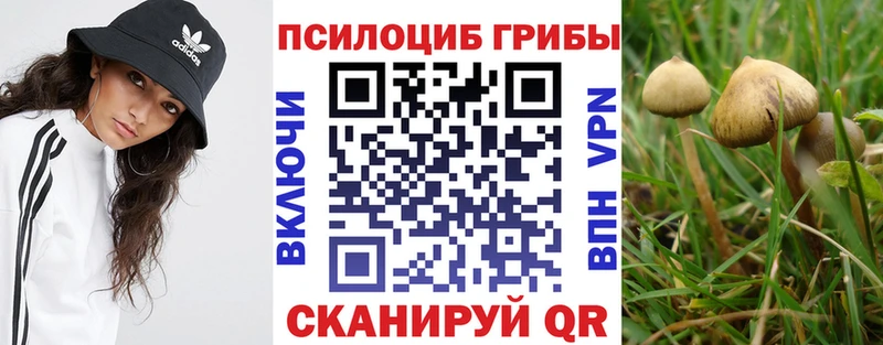 Галлюциногенные грибы Psilocybine cubensis  darknet как зайти  Реутов  как найти закладки 